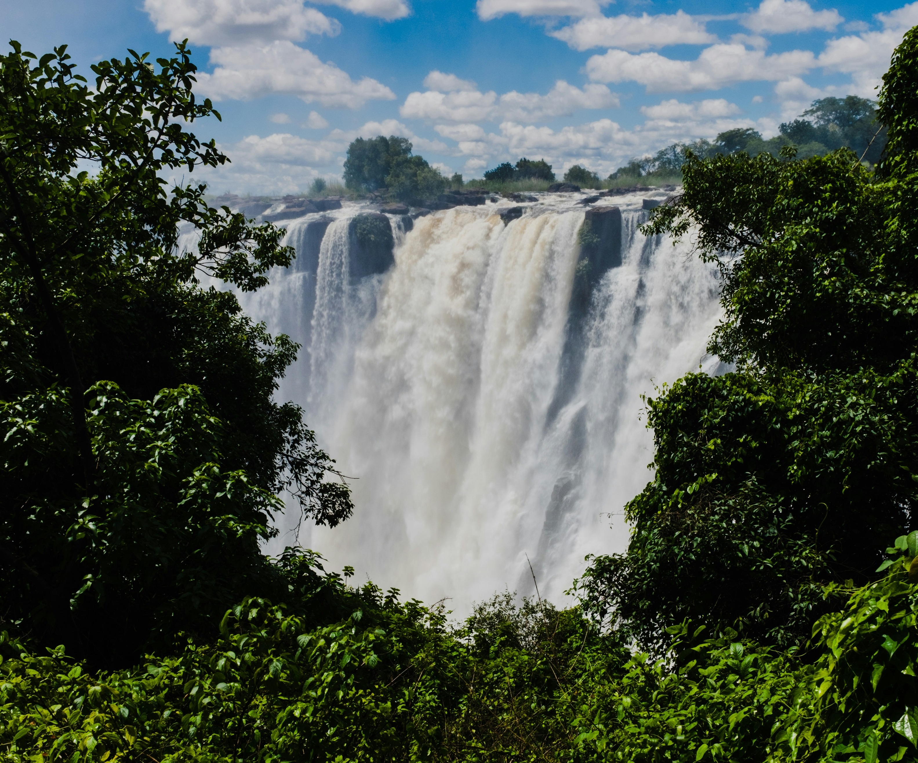 Picture by Chris Boland